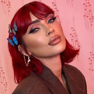 nwot 4 pretty boho rainbow butterfly hair clips